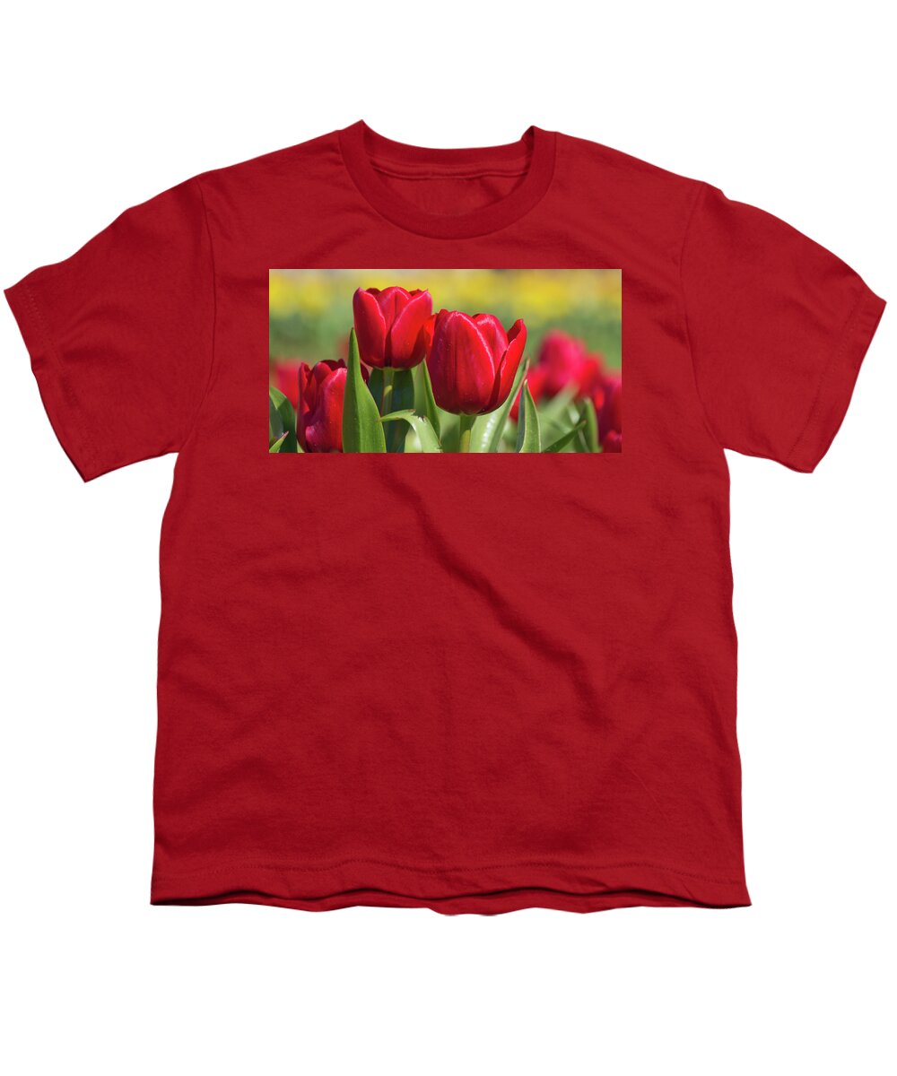 Tulip Youth T-Shirt featuring the photograph Tulips 12 #floral #tulip by Andrea Anderegg