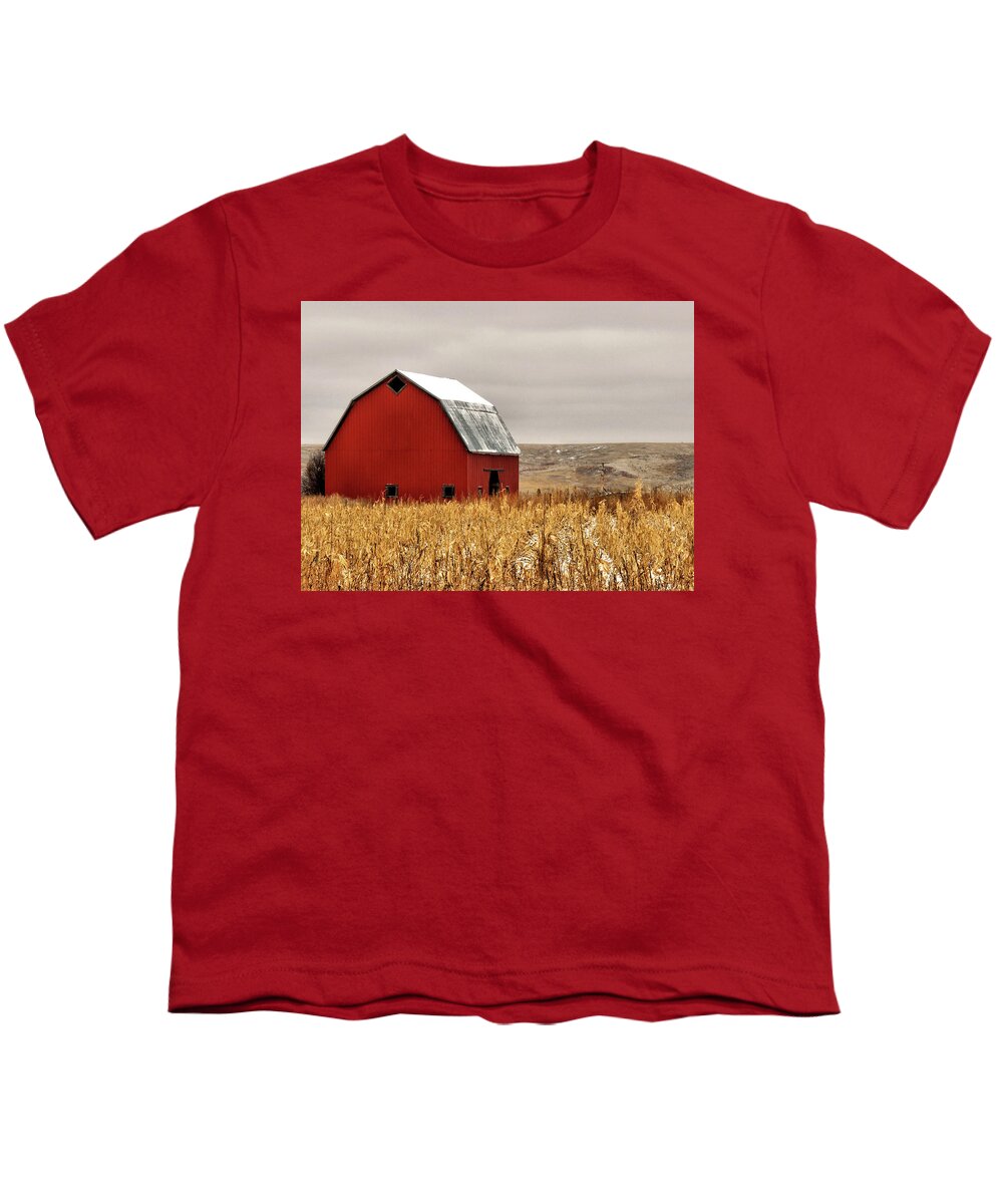 Vintage Red Barn T-Shirt by Marion Muhm -