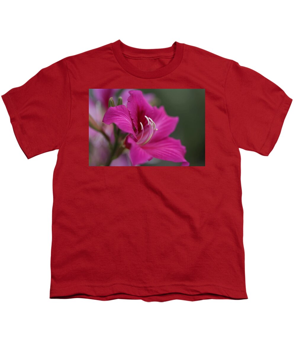 Hongkong Orchid Youth T-Shirt featuring the photograph Hongkong Orchid III by Mingming Jiang