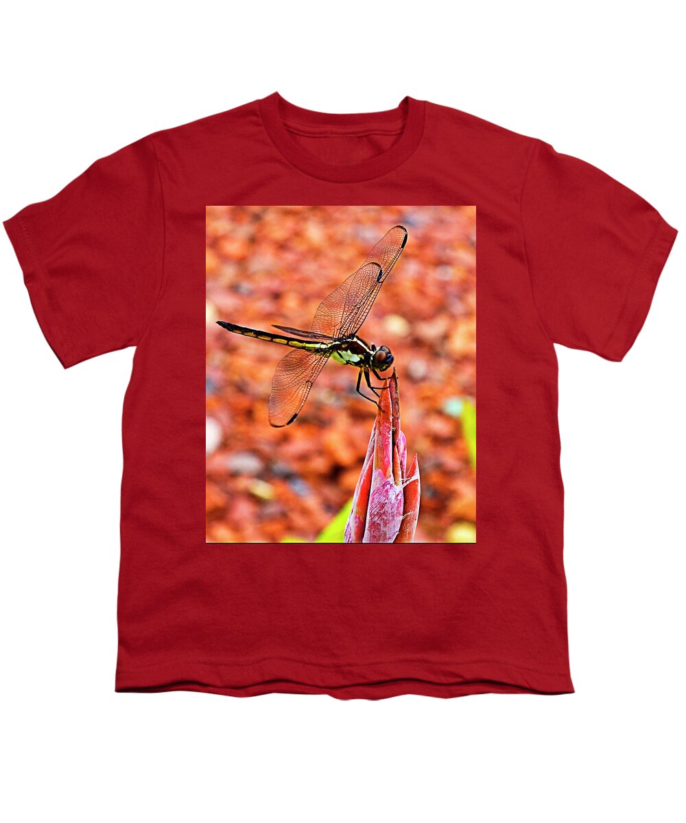 Dragonfly Youth T-Shirt featuring the photograph Lovely Dragonfly by Bill Barber