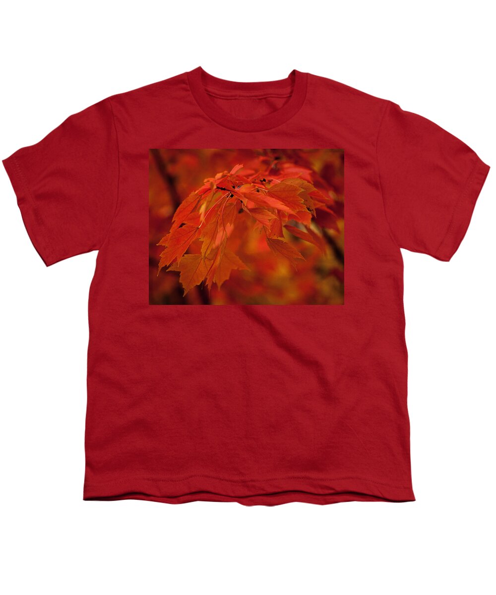 Autumn Youth T-Shirt featuring the photograph Maple Leaves I by Norman Reid