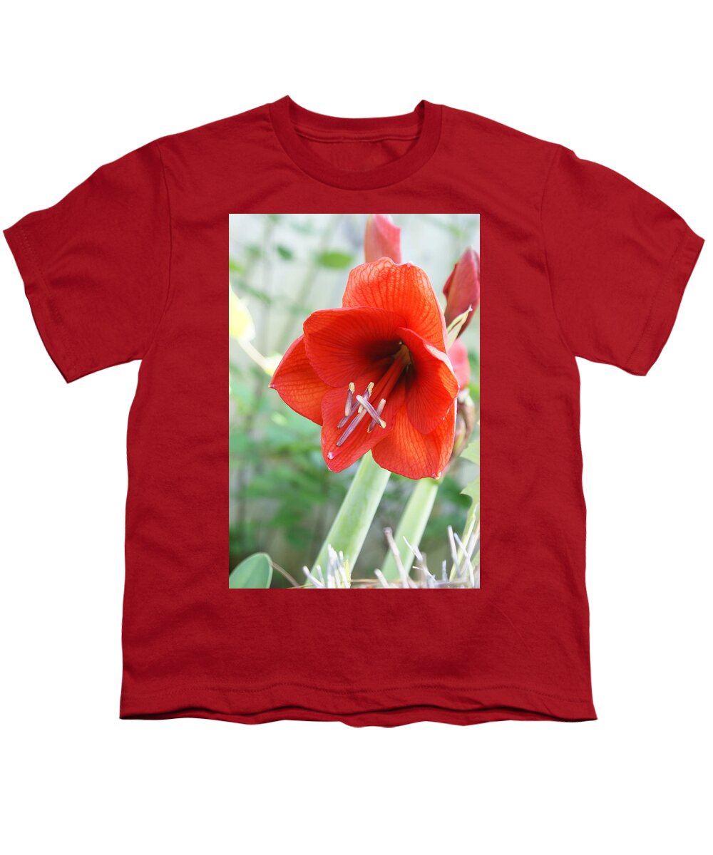  Youth T-Shirt featuring the photograph Orange Amaryllis by Heather E Harman