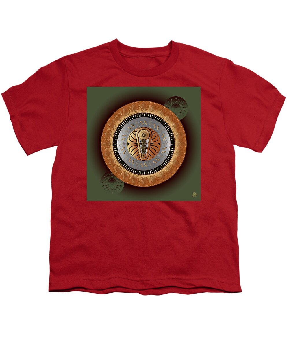 Mandala Graphic Design Youth T-Shirt featuring the digital art Ornativo Vero Circulus No 4226 by Alan Bennington