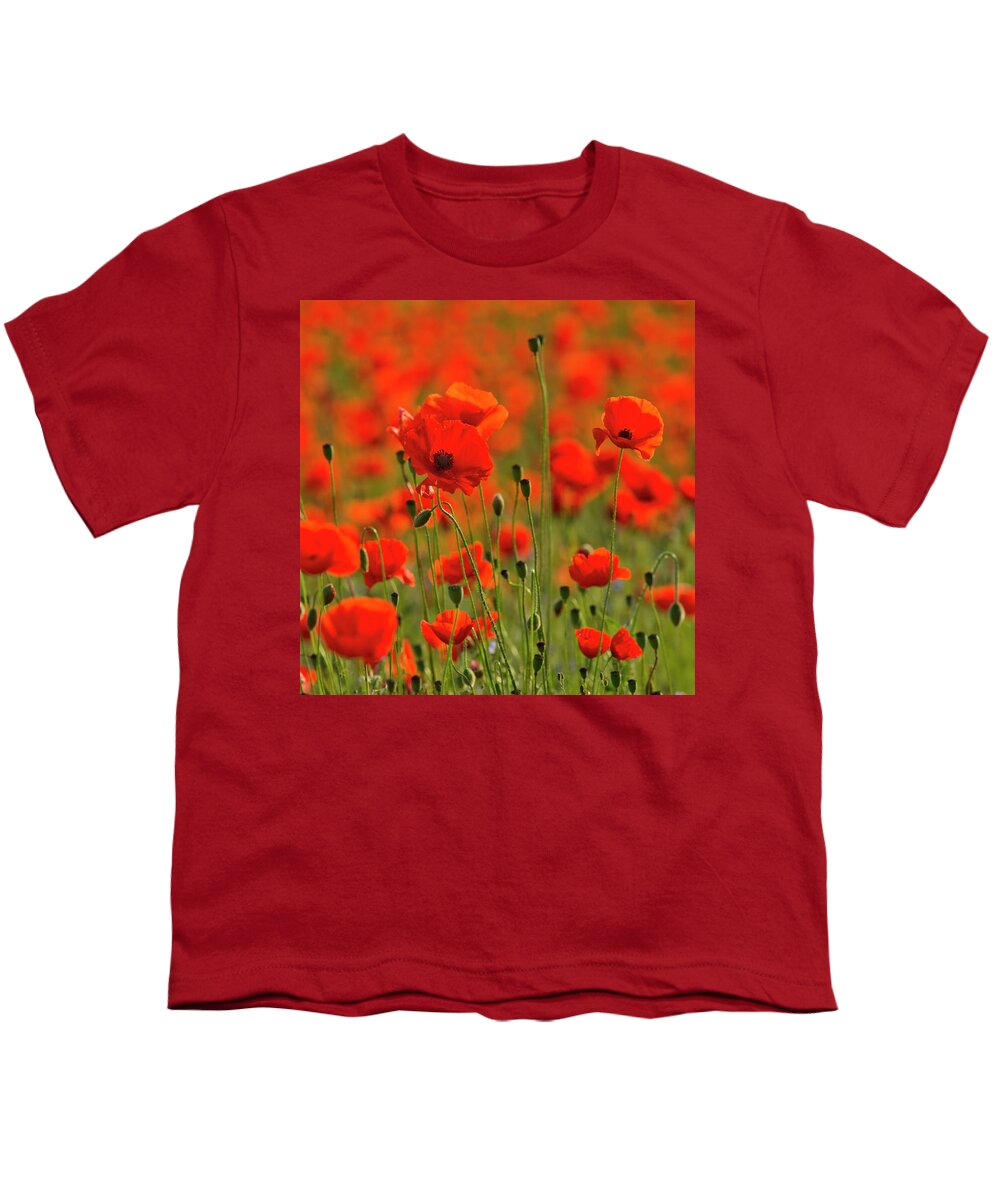 Landscape Youth T-Shirt featuring the photograph Poppy field 7 by Remigiusz MARCZAK