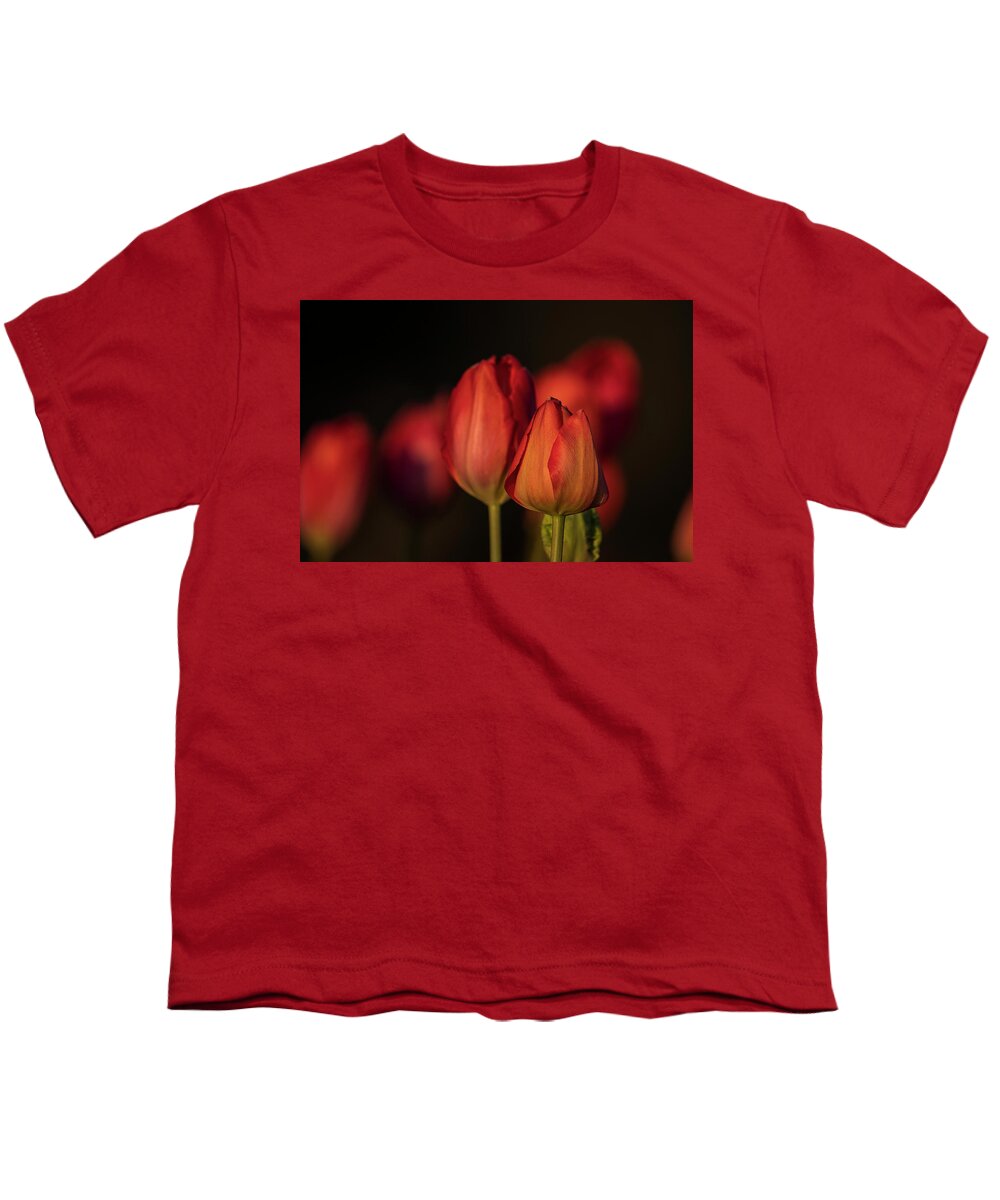 April Youth T-Shirt featuring the photograph Red Tulips in Evening by Robert Potts