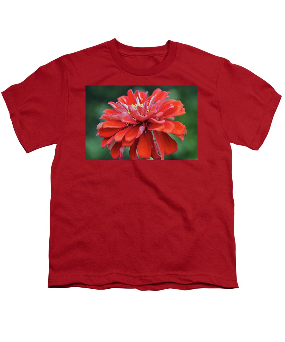 Flower Youth T-Shirt featuring the photograph Red Zinnia Flower Close Up Macro by Gaby Ethington