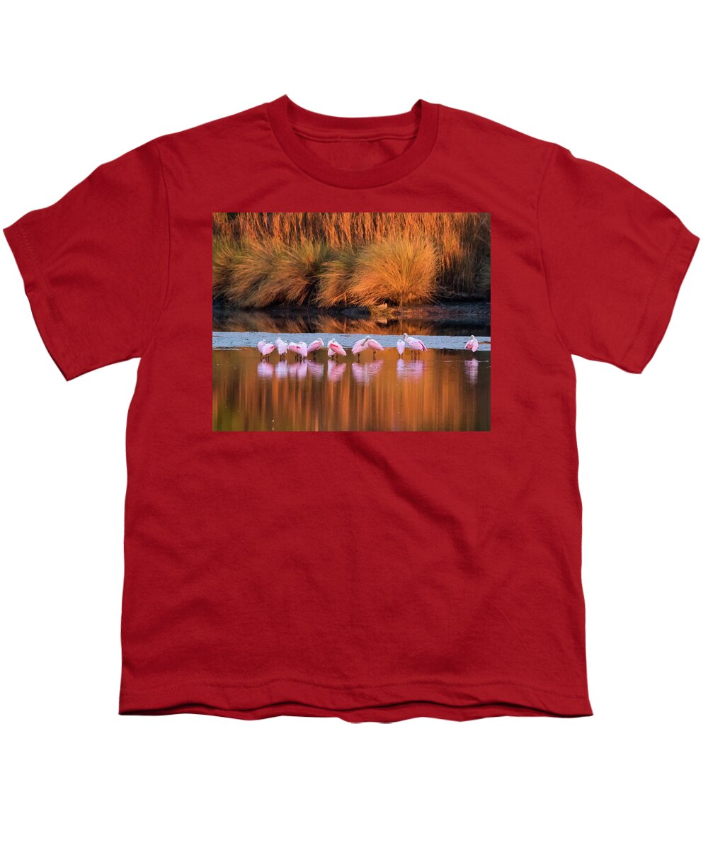 Roseate Spoonbills Youth T-Shirt featuring the photograph Spoonbills at Dawn by Jim Miller