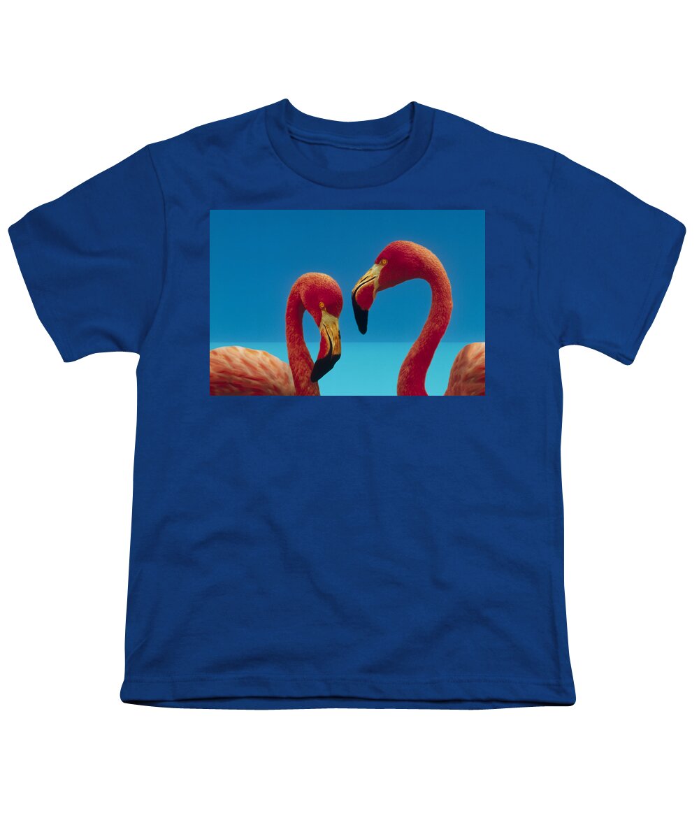 00172310 Youth T-Shirt featuring the photograph Greater Flamingo Phoenicopterus Ruber #2 by Tim Fitzharris