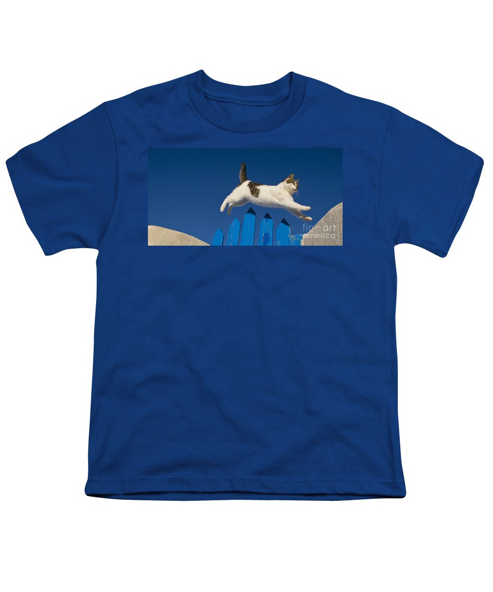 Cat Youth T-Shirt featuring the photograph Cat Jumping A Gate by Jean-Louis Klein and Marie-Luce Hubert
