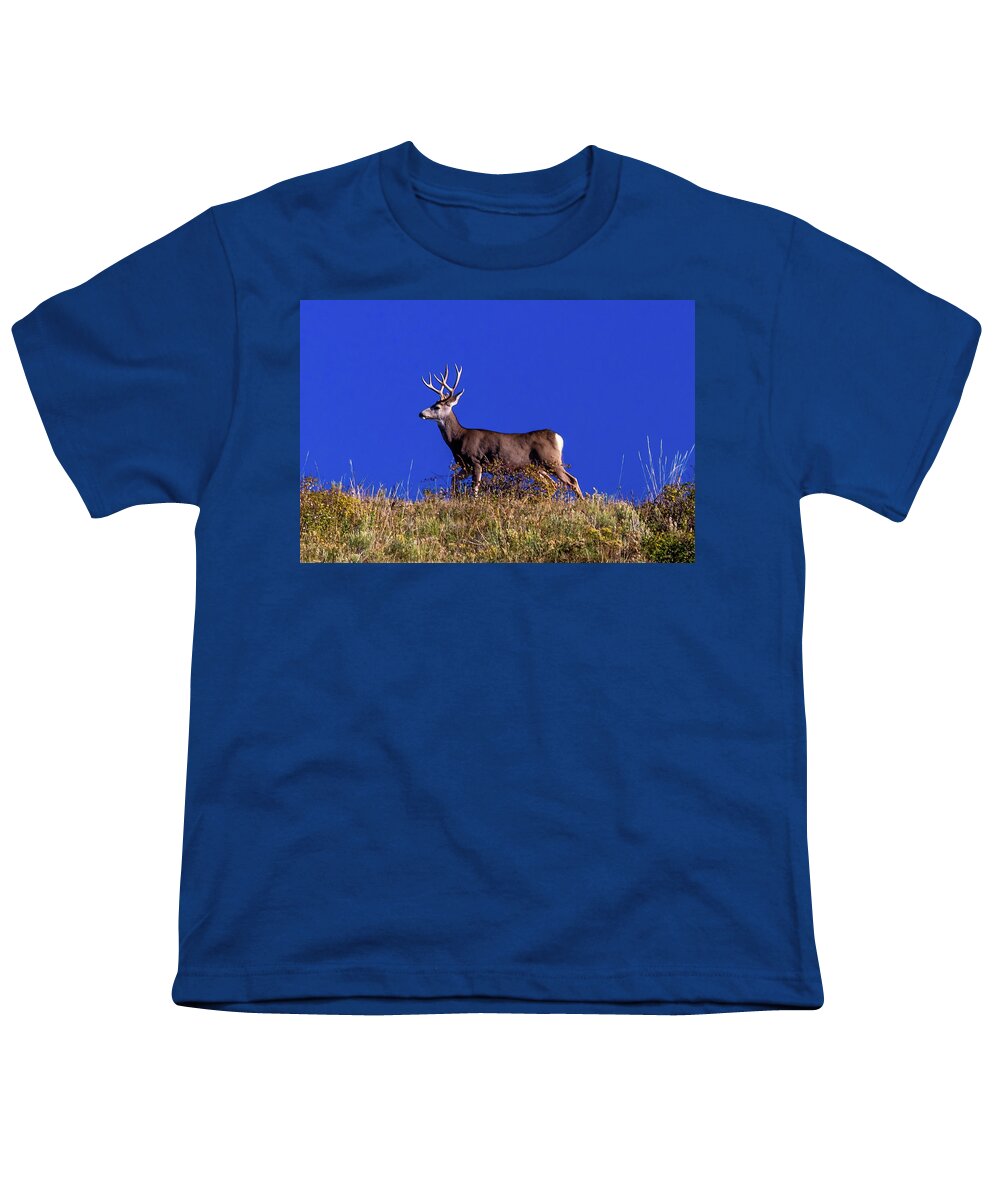 Photography Youth T-Shirt featuring the photograph Deer And Blue Sky Outside Of Ridgway by Panoramic Images