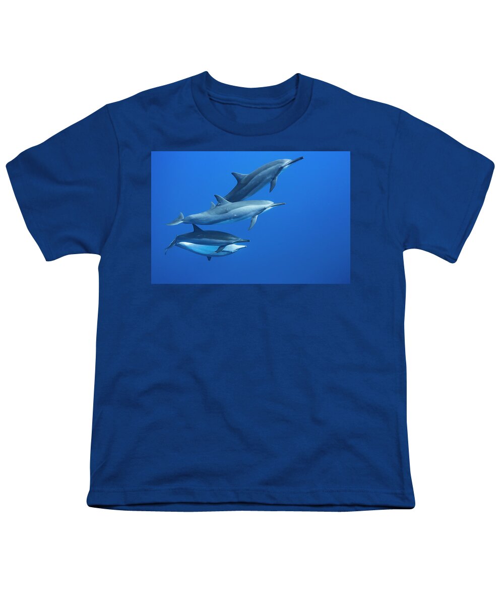 Cetacea Youth T-Shirt featuring the photograph Four Spinner Dolphin Stenella by Dave Fleetham
