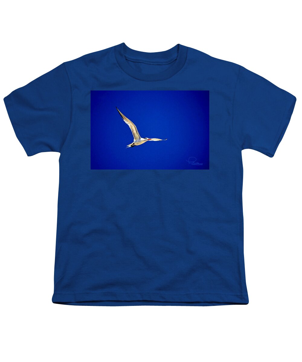 Bird Youth T-Shirt featuring the photograph Royal Tern 2 by Ludwig Keck