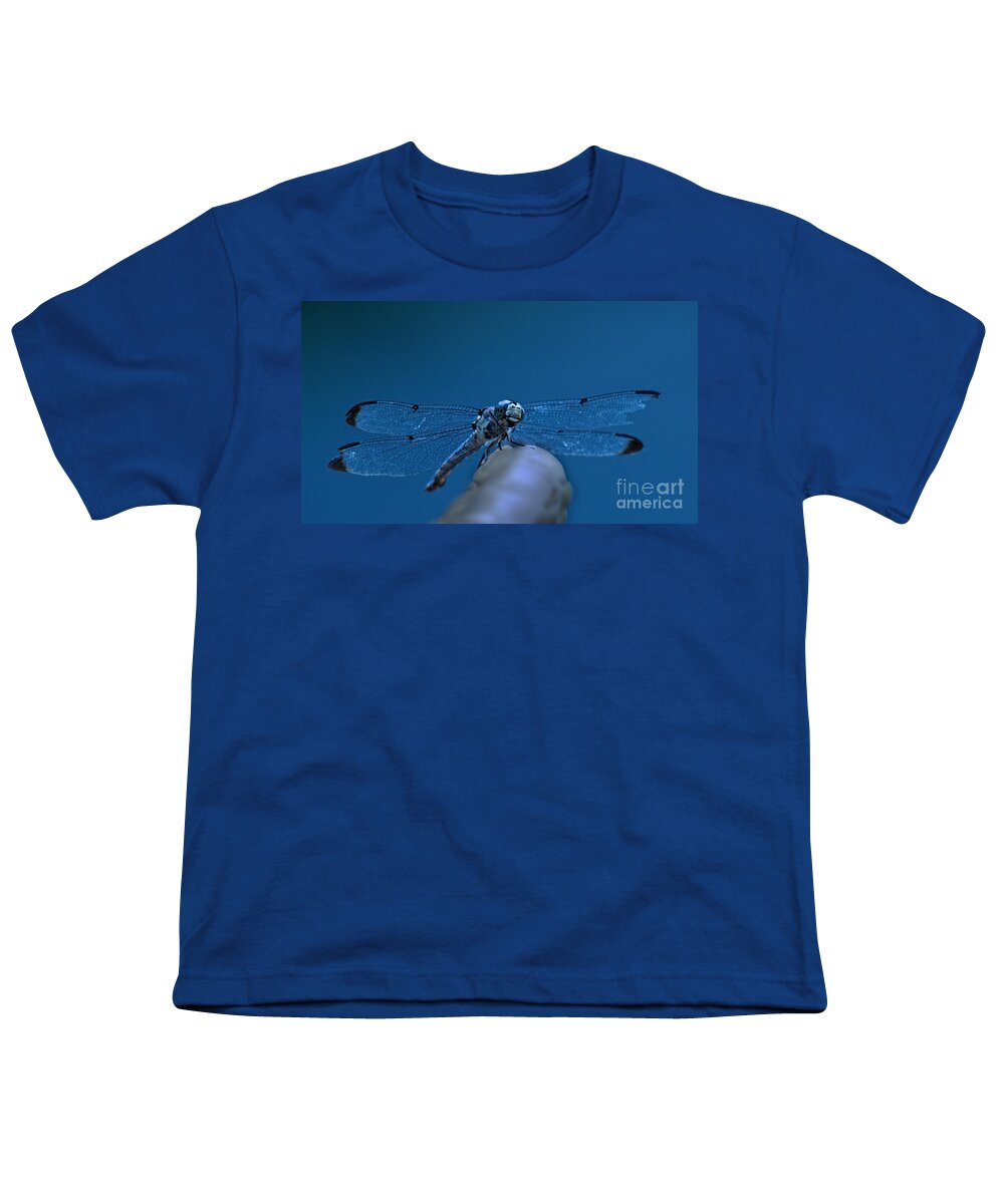 Jemmy Archer Youth T-Shirt featuring the photograph With a Broken Wing by Jemmy Archer
