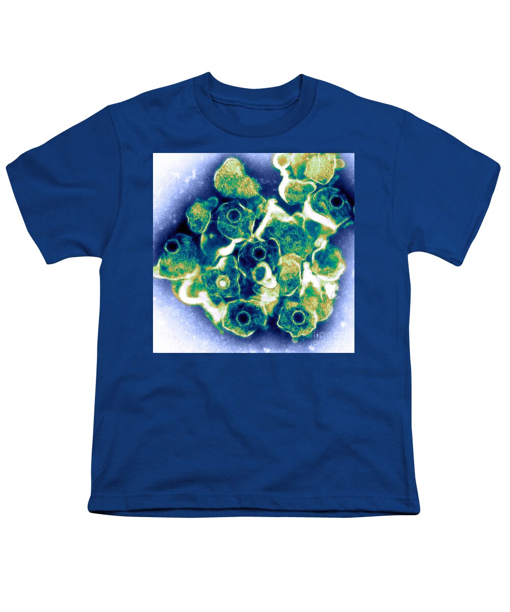 Electron Micrograph Youth T-Shirt featuring the photograph Herpes Simplex Virus Tem #4 by ASM/Science Source