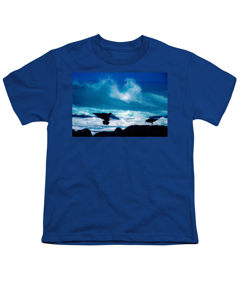 African Black Oystercatcher Youth T-Shirt featuring the photograph Wavedance by Alistair Lyne