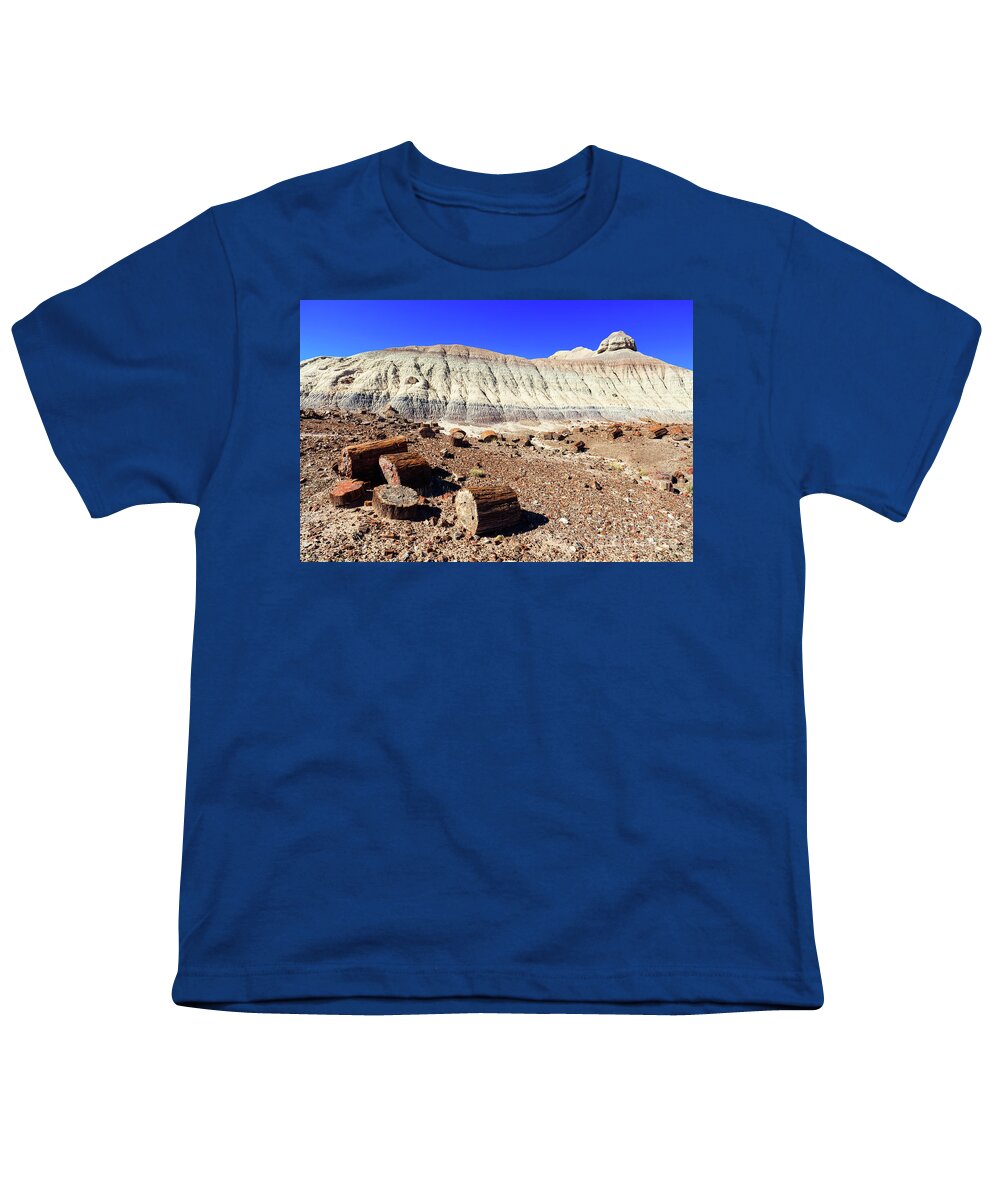 Arizona Youth T-Shirt featuring the photograph Arizona Petrified Forest #1 by Raul Rodriguez