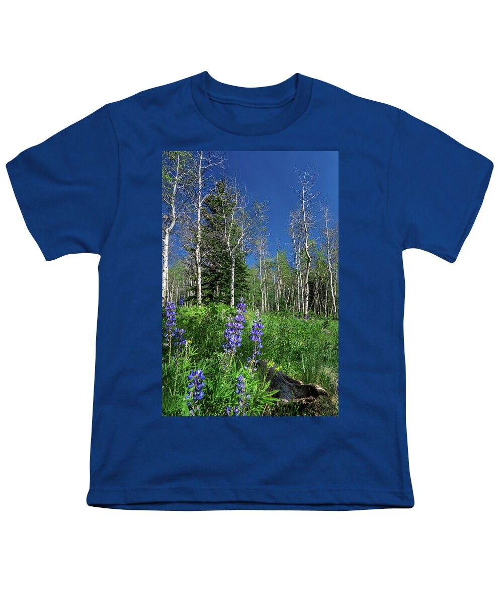 Aspens Youth T-Shirt featuring the photograph Aspens in the Rockies by Ron Pate