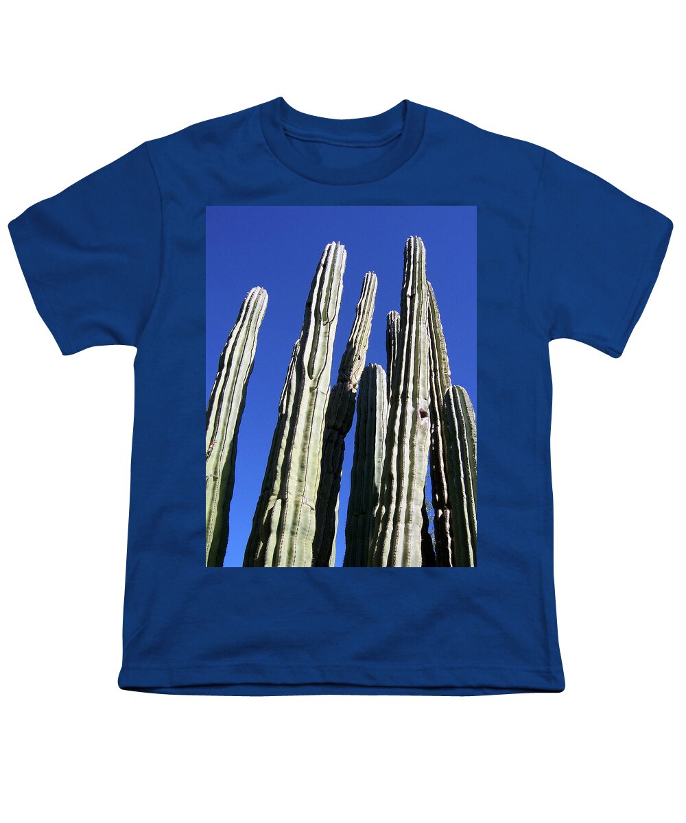 Southwest Youth T-Shirt featuring the photograph Cactus of the Southwest by Ilia -