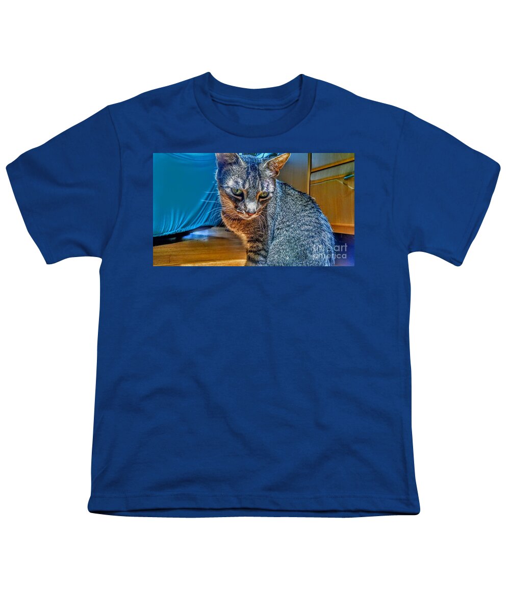 Cat Youth T-Shirt featuring the photograph Le Chat Bleu by Christopher Lotito