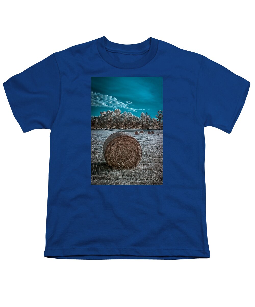 Needwood Youth T-Shirt featuring the photograph What the hay---faux color IR by Izet Kapetanovic