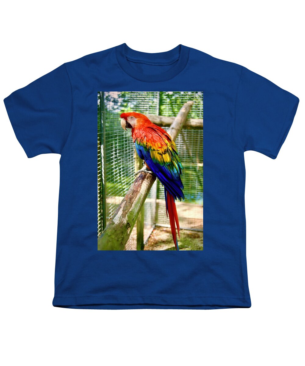  Youth T-Shirt featuring the photograph Scarlet Macaw by Gordon James