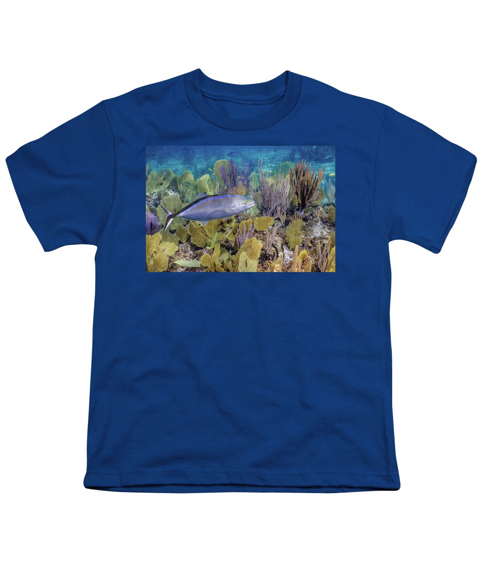 Animals Youth T-Shirt featuring the photograph The Bar Crossing by Lynne Browne