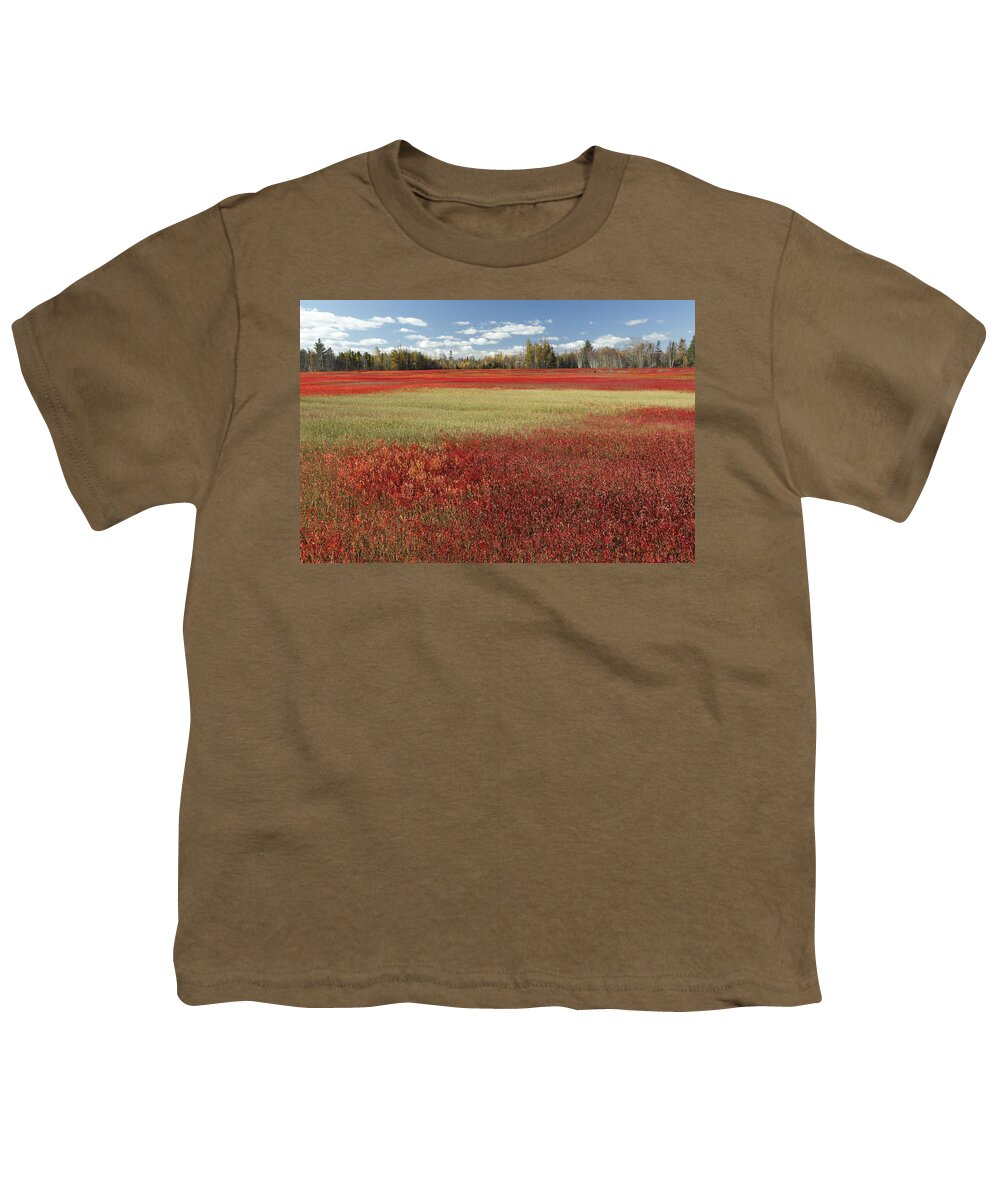 Feb0514 Youth T-Shirt featuring the photograph Autumn Blueberry Field Maine #1 by Scott Leslie