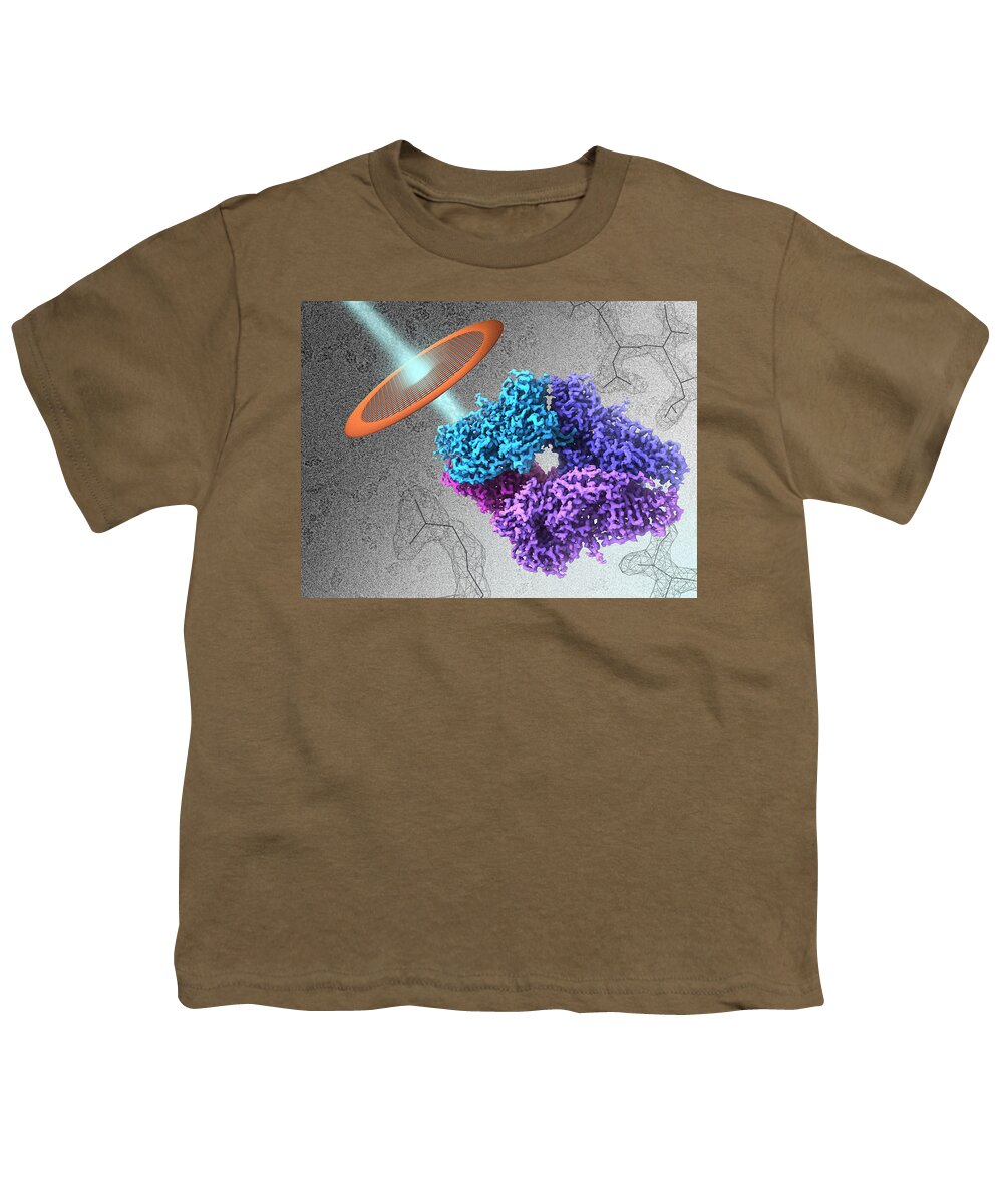 Science Youth T-Shirt featuring the photograph Beta-galactosidase, Metabolic Enzyme #1 by Science Source