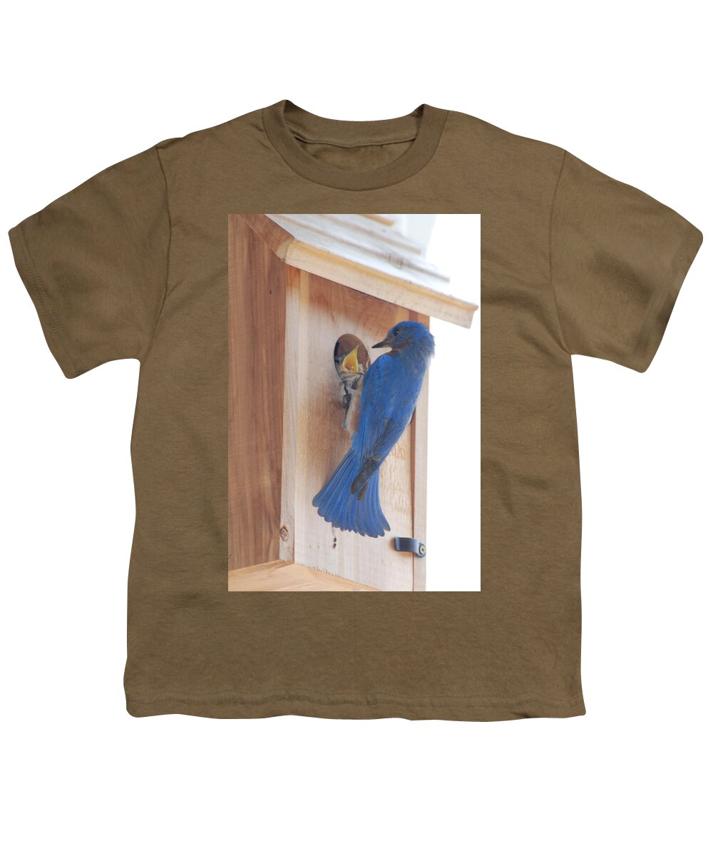 Bird Youth T-Shirt featuring the photograph Bluebird of Happiness by Kenny Glover