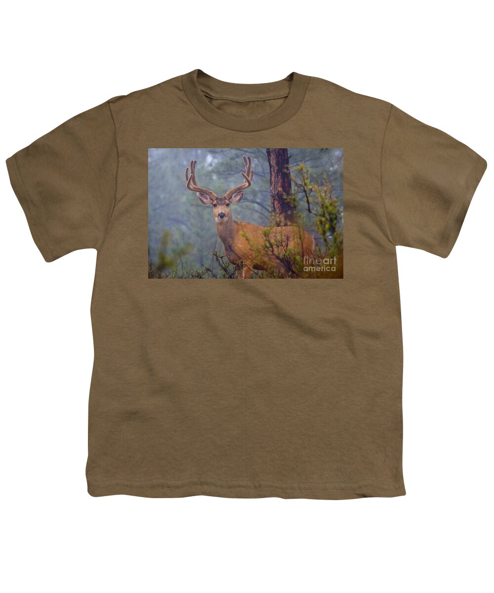 Colorado Youth T-Shirt featuring the photograph Buck Deer in a mystical foggy forest scene #1 by Steven Krull