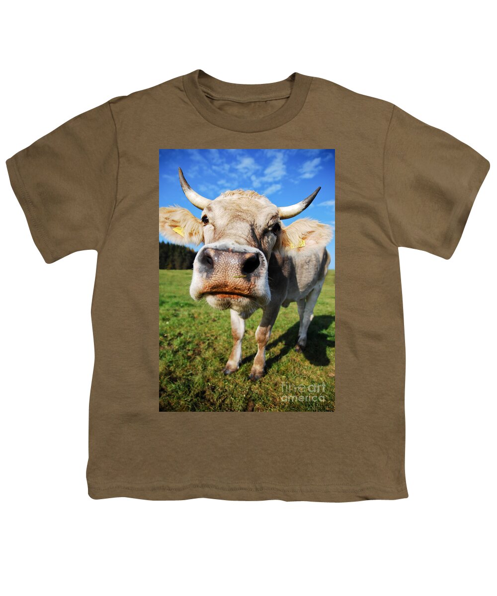 Cow Youth T-Shirt featuring the photograph cow #1 by Hannes Cmarits