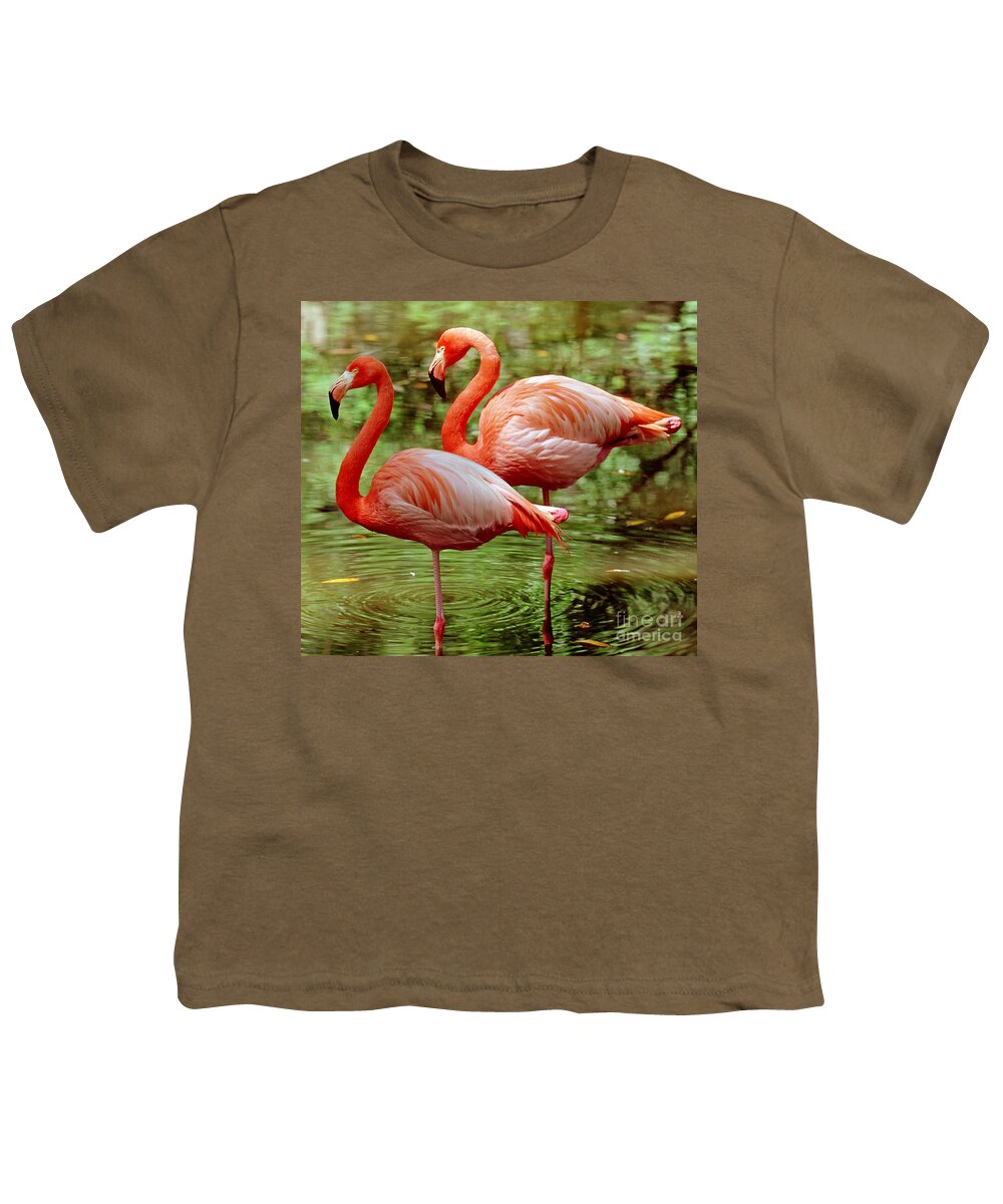Animal Youth T-Shirt featuring the photograph Greater Flamingoes by Millard H Sharp