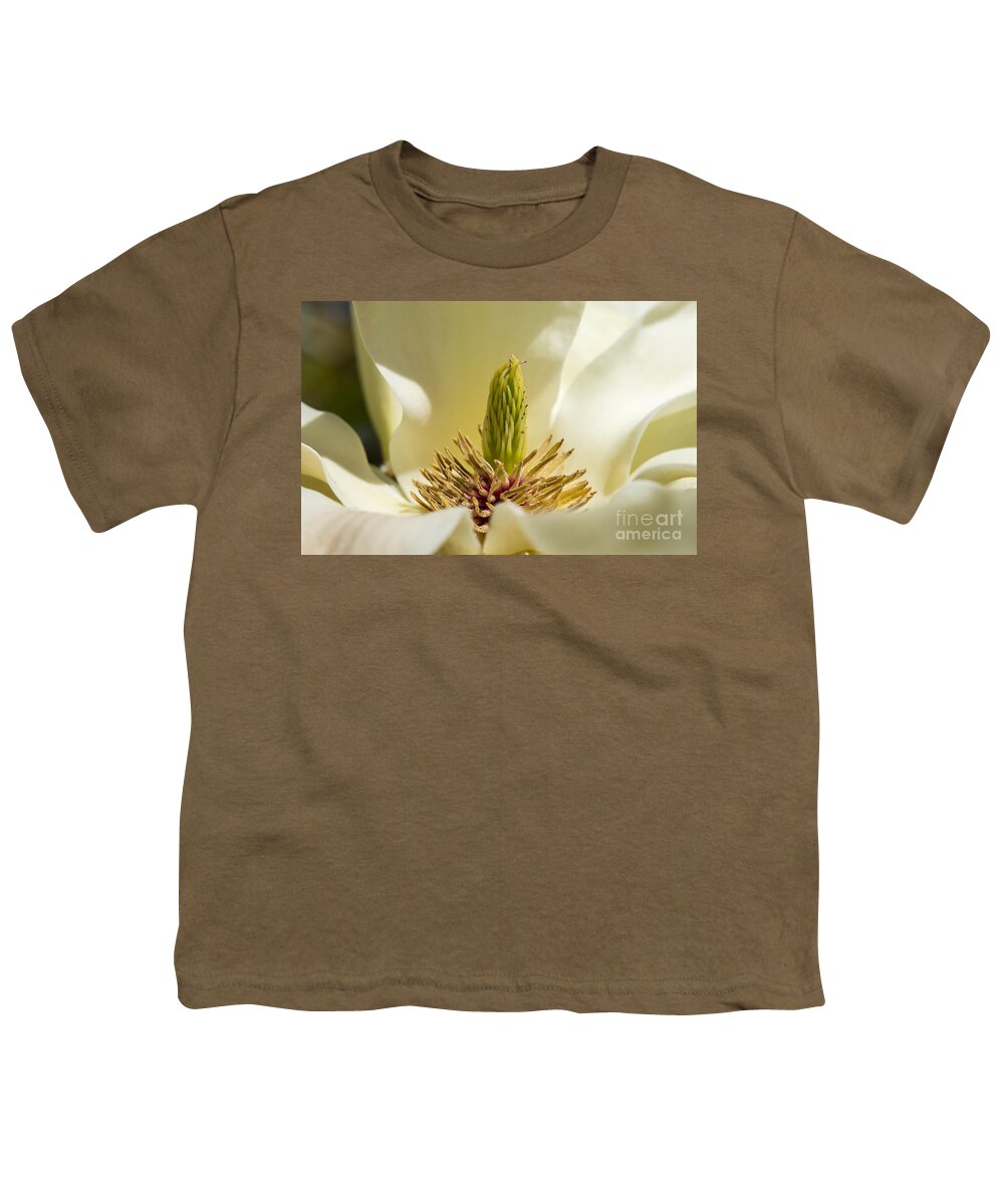 Arboretum Youth T-Shirt featuring the photograph Magnolia #2 by Steven Ralser