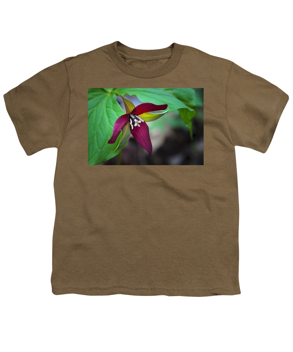 Beauty Youth T-Shirt featuring the photograph Red Trillium #1 by Jack R Perry
