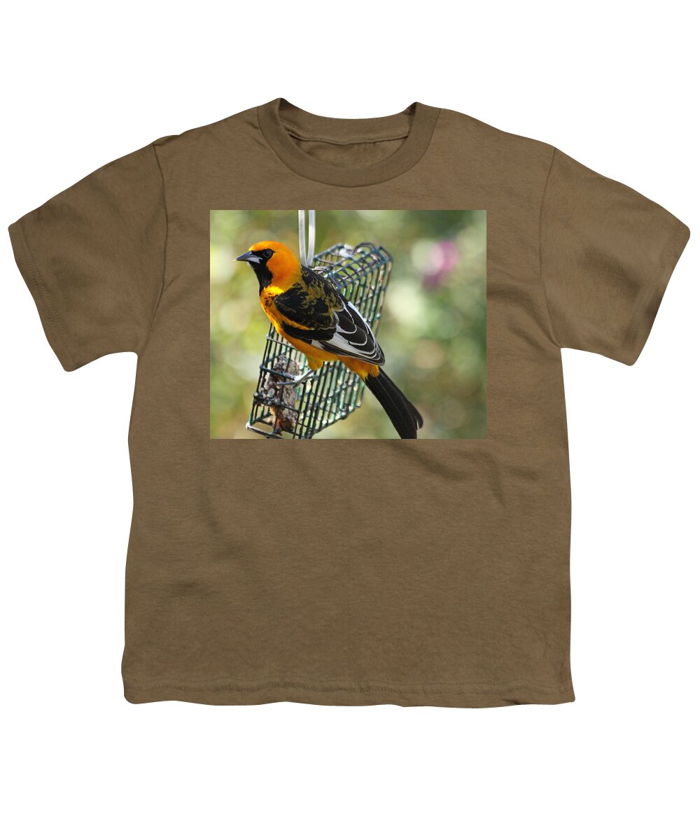Birds Youth T-Shirt featuring the photograph Spot Breasted Oriole #1 by Dart Humeston