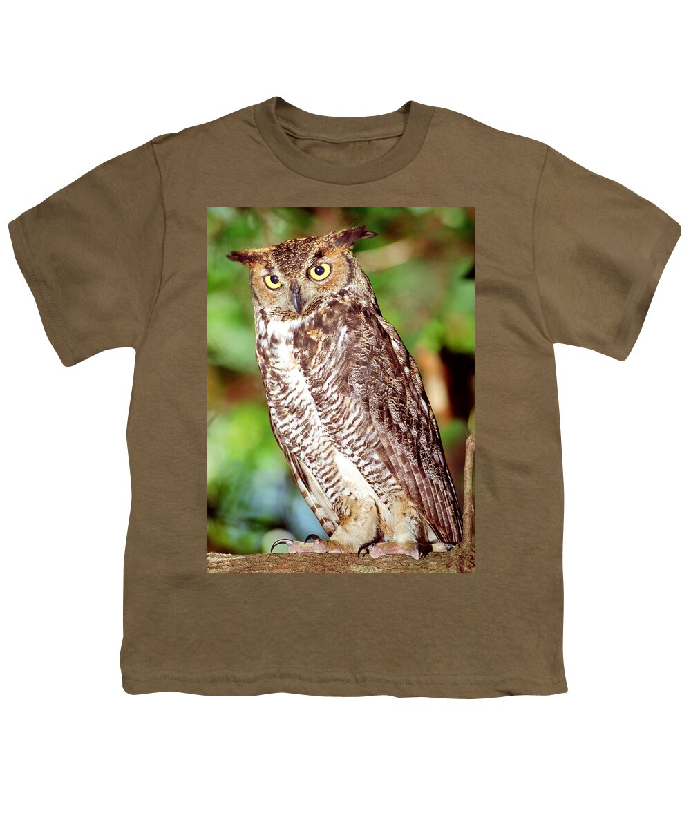 Great Horned Owl Youth T-Shirt featuring the photograph Great Horned Owl #11 by Millard H. Sharp