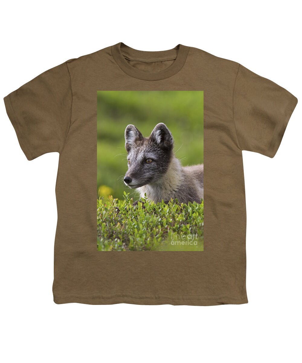 Arctic Fox Youth T-Shirt featuring the photograph 111216p030 by Arterra Picture Library