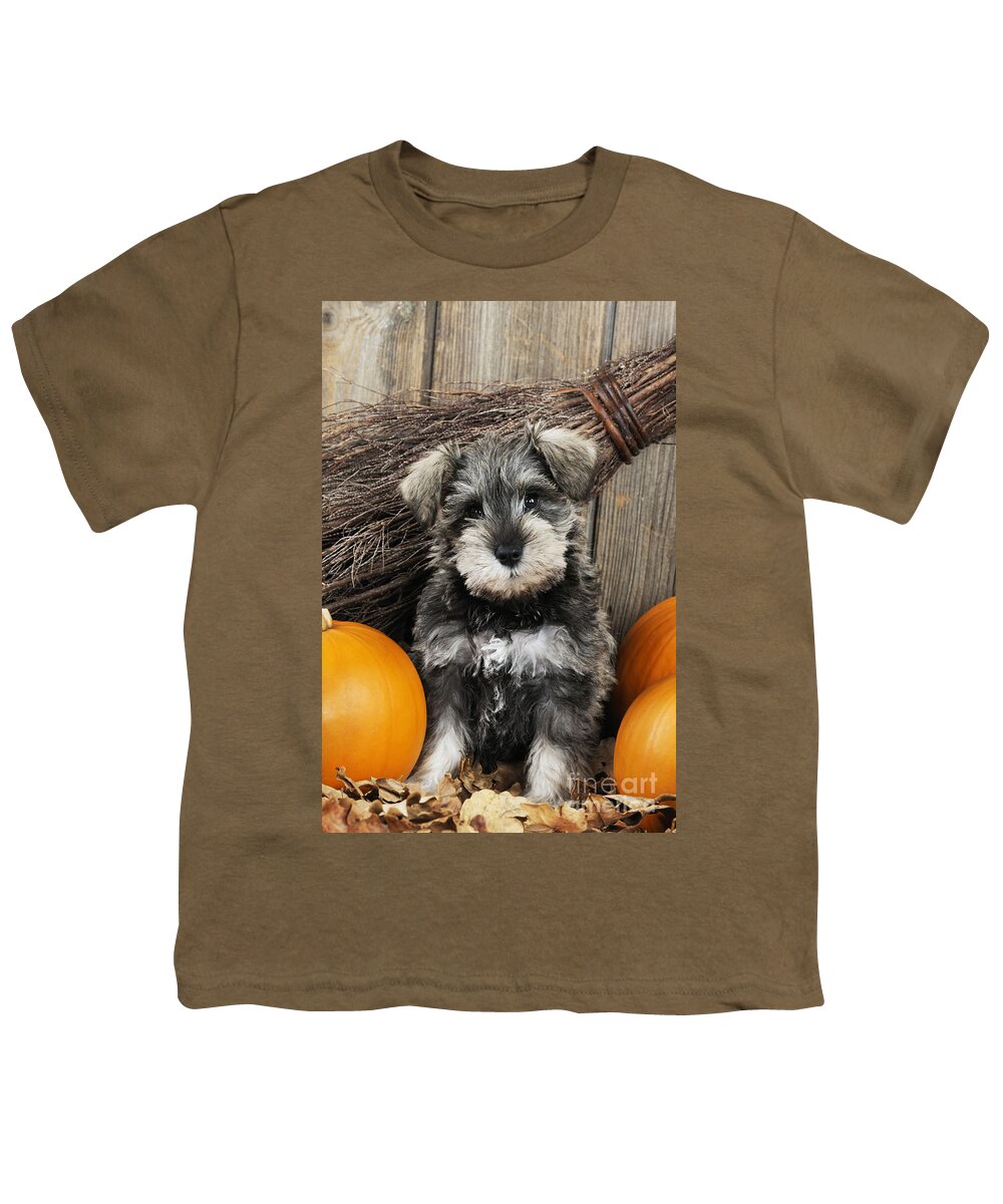 Dog Youth T-Shirt featuring the photograph Schnauzer Puppy Dog #13 by John Daniels