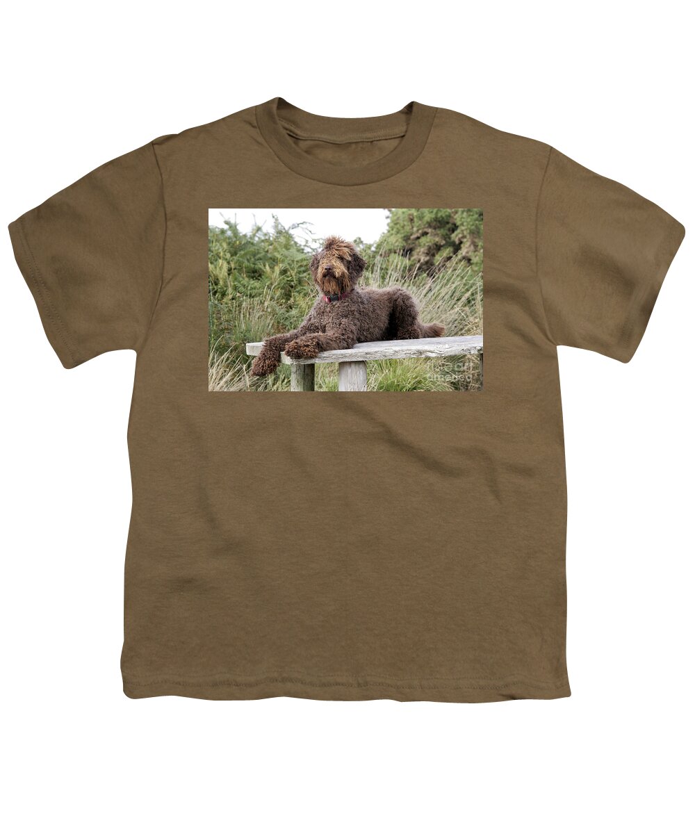 Labradoodle Youth T-Shirt featuring the photograph Brown Labradoodle #2 by John Daniels