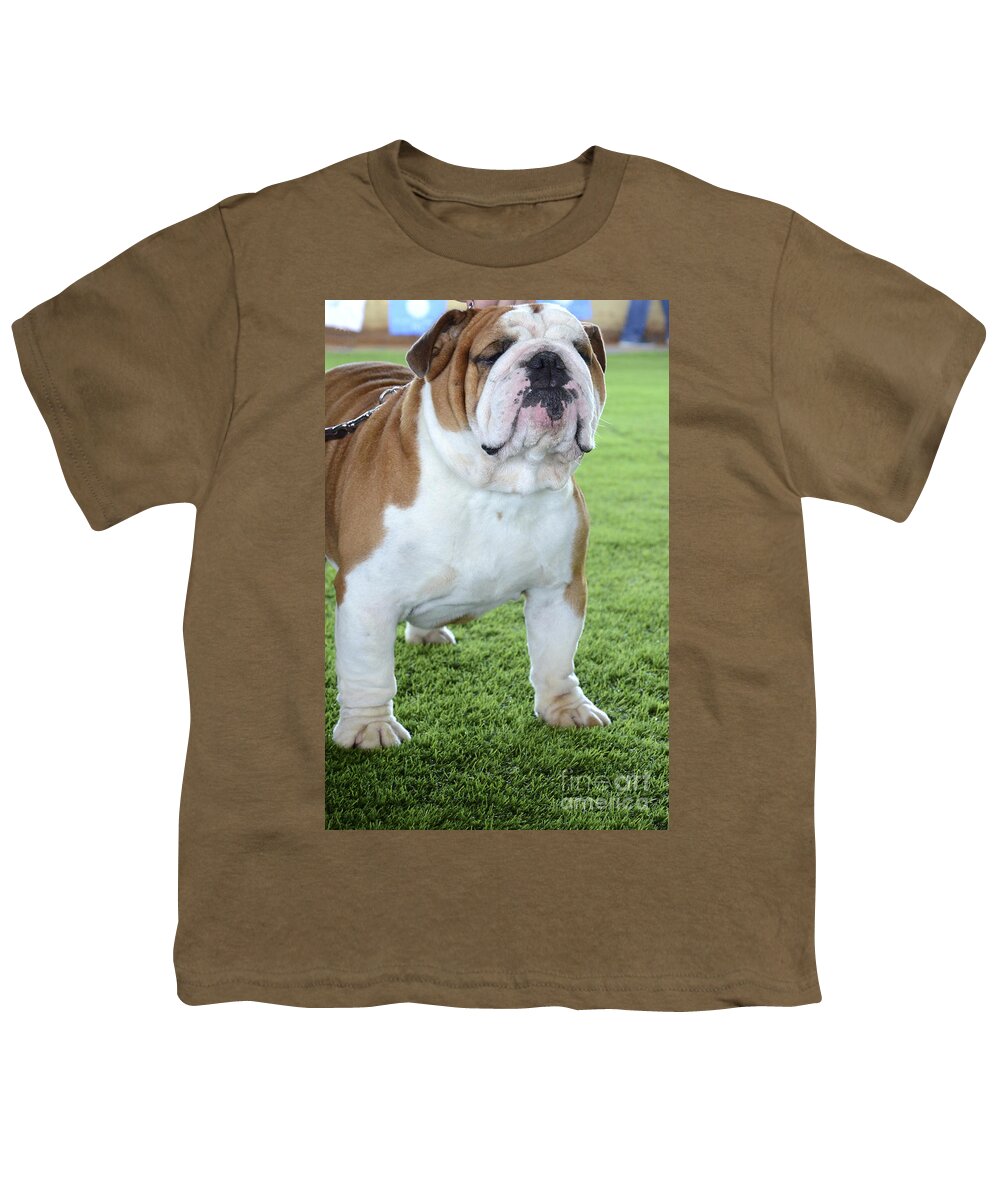 English Bulldog Youth T-Shirt featuring the photograph English Bulldog #2 by Amir Paz