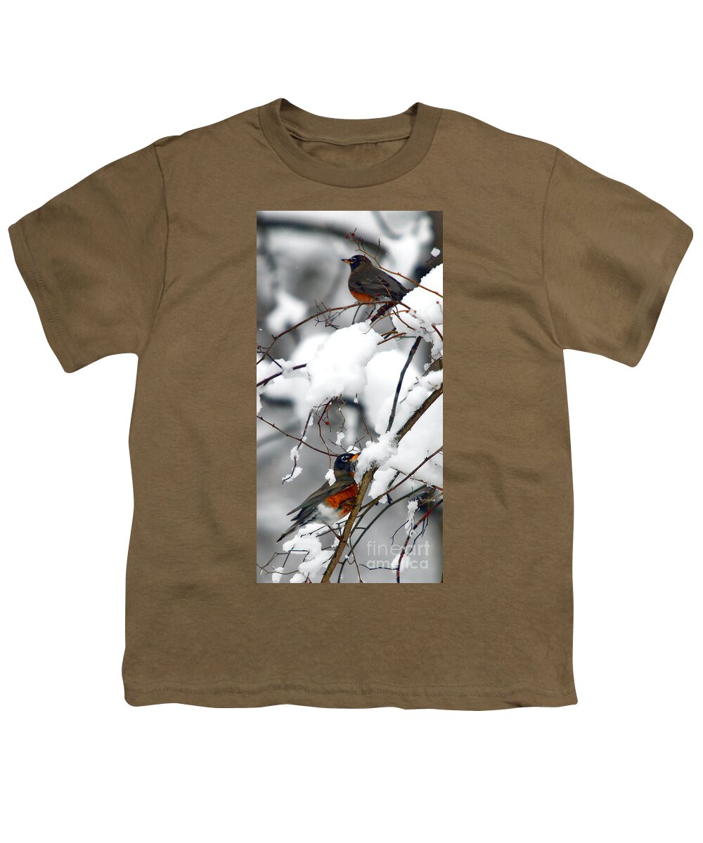 Animals Youth T-Shirt featuring the photograph 2 Robins by Nicki McManus