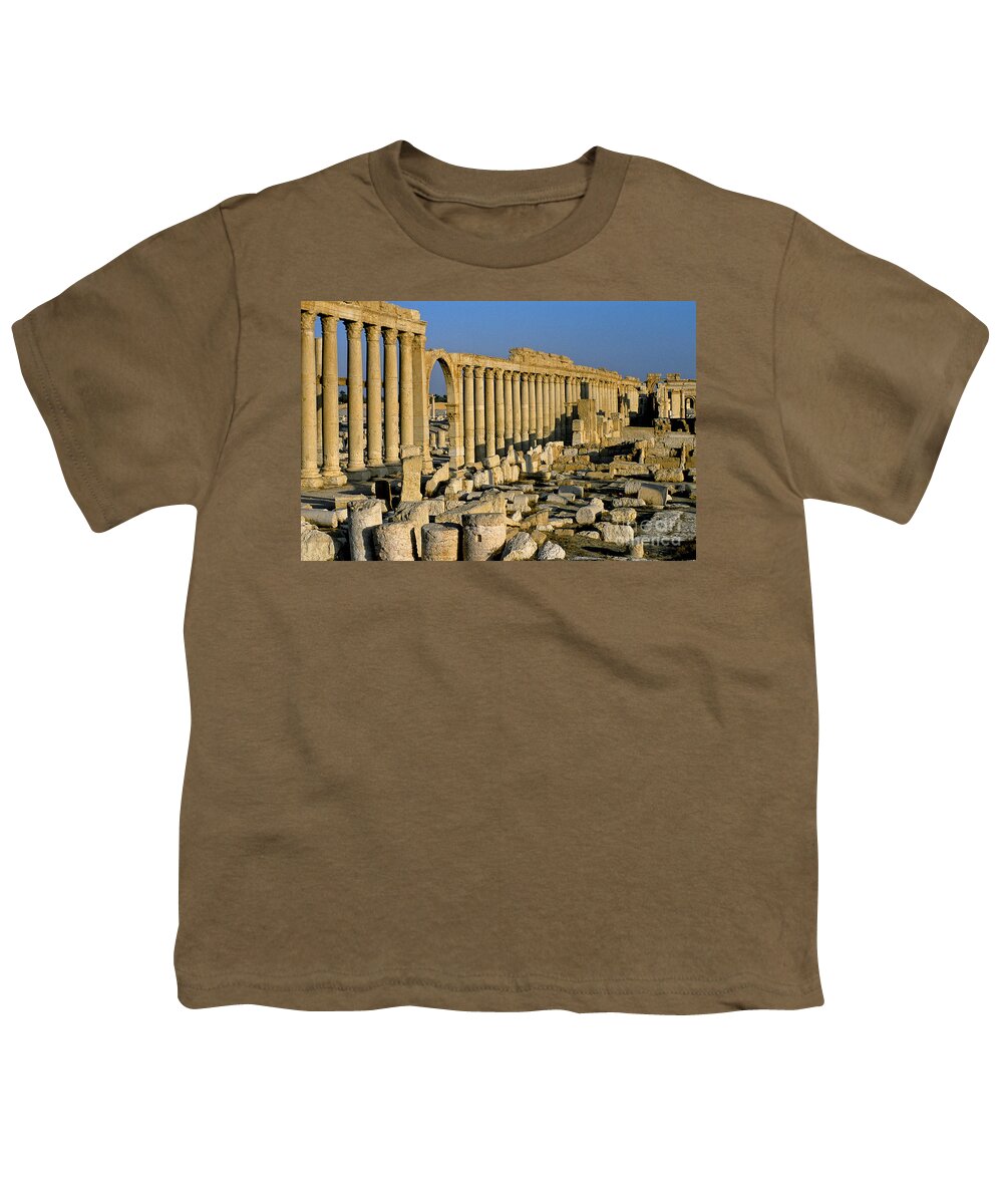 Syria Youth T-Shirt featuring the photograph Ruins At Palmyra, Syria #2 by Adam Sylvester