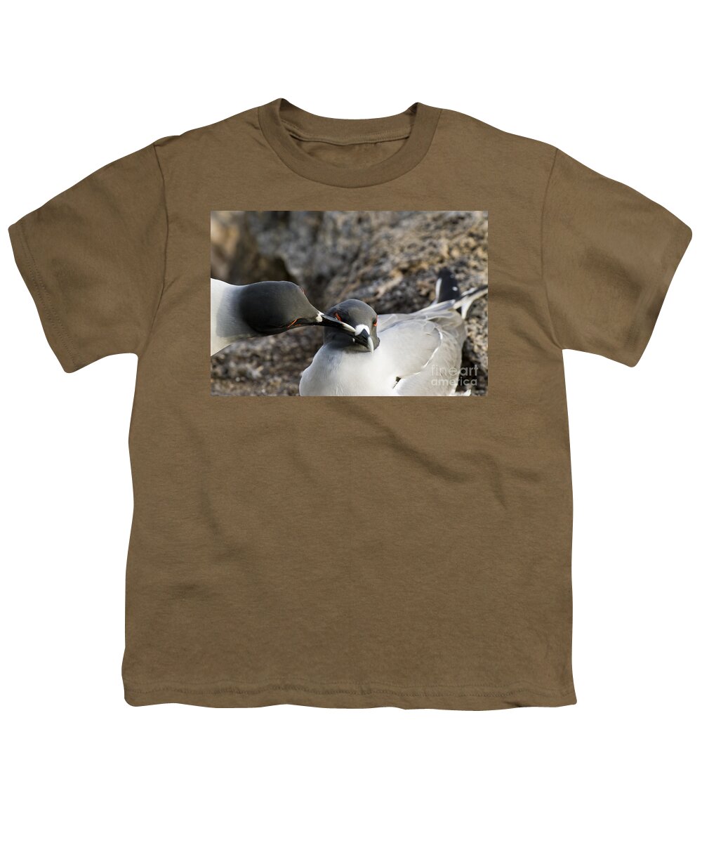 Gulls Youth T-Shirt featuring the photograph Swallow-tailed Gulls #2 by William H. Mullins