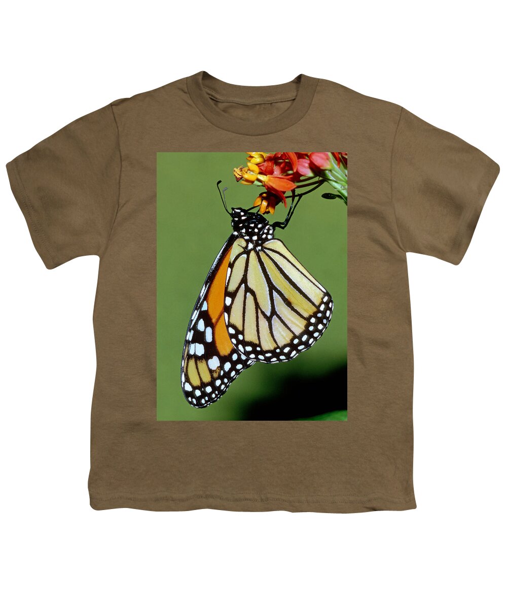 Monarch Butterfly Youth T-Shirt featuring the photograph Monarch Butterfly #23 by Millard H. Sharp