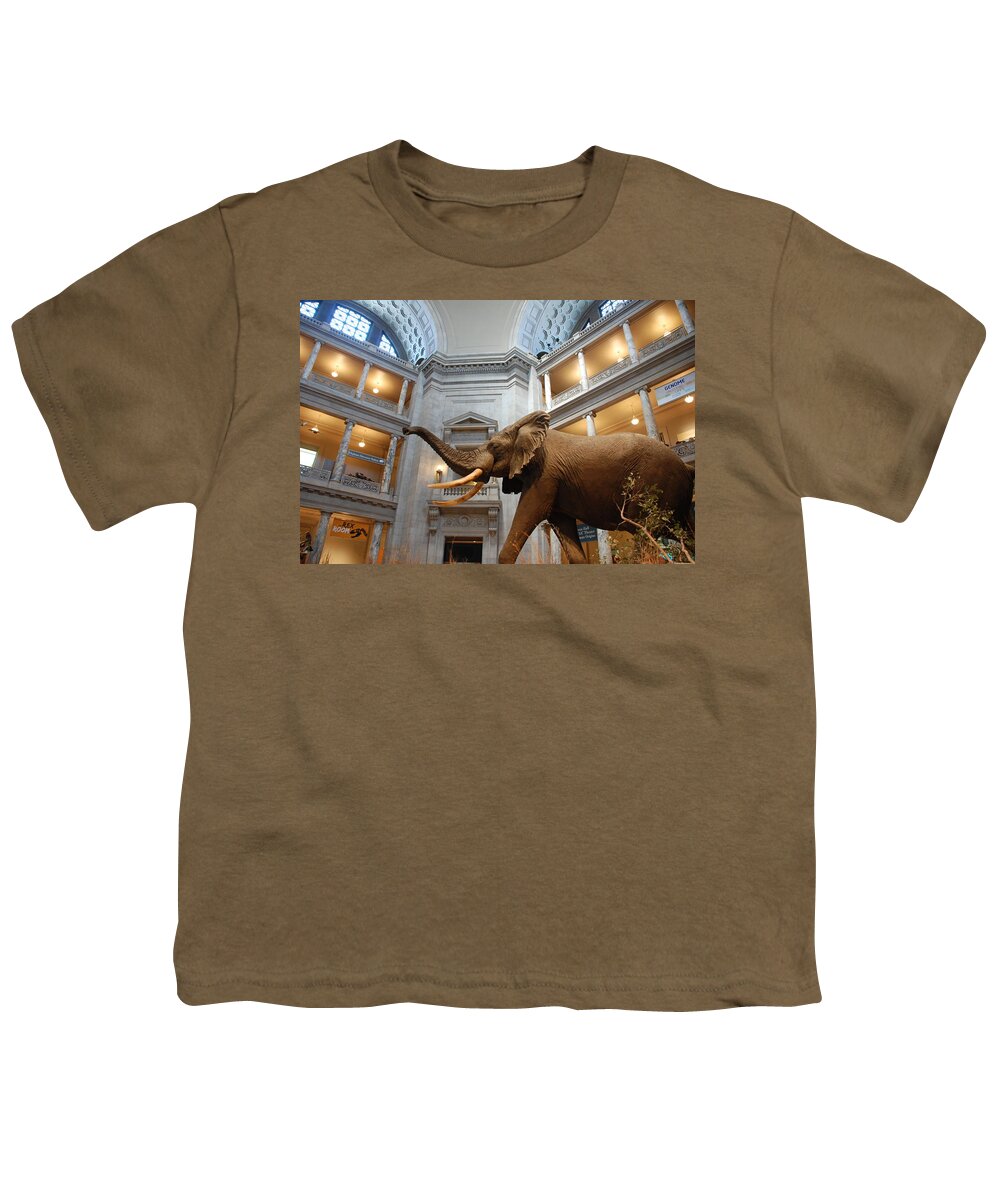 Bull Elephant Youth T-Shirt featuring the photograph Bull Elephant in Natural History Rotunda by Kenny Glover