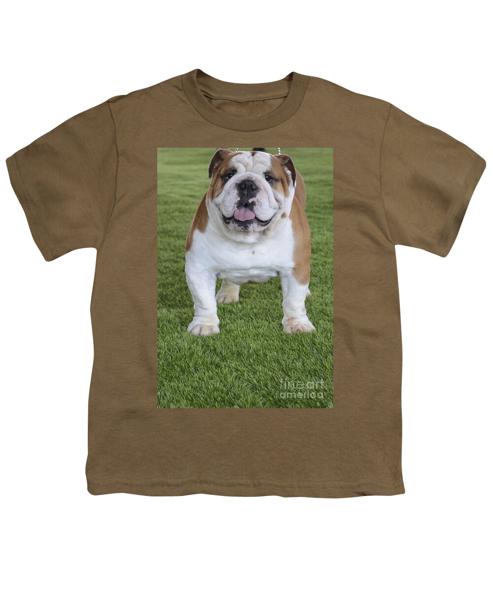 English Bulldog Youth T-Shirt featuring the photograph English Bulldog by Amir Paz