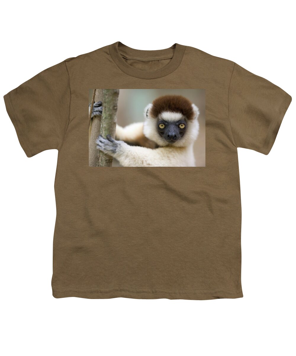 00621033 Youth T-Shirt featuring the photograph Verreauxs Sifaka in Berenty by Cyril Ruoso