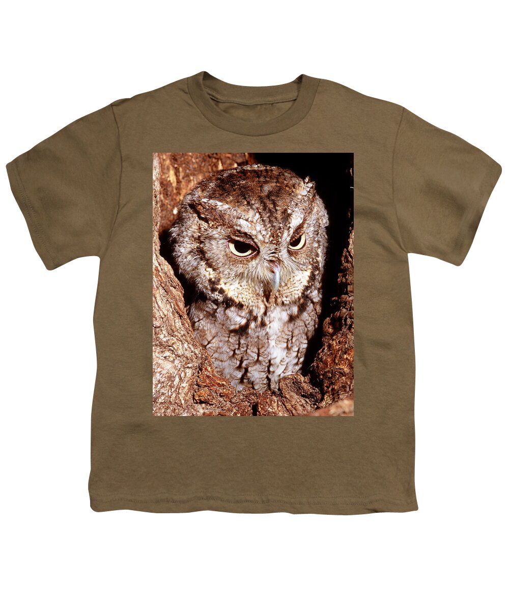 Owl Youth T-Shirt featuring the photograph Screech Owl #5 by Millard H. Sharp