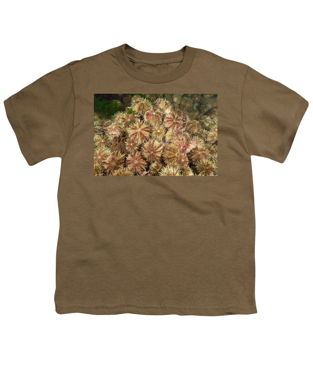 Green Sea Urchin Youth T-Shirt featuring the photograph Green Sea Urchin #7 by Andrew J. Martinez
