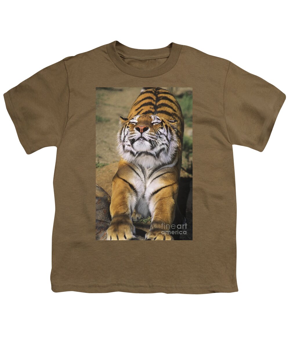 Siberian Tiger Youth T-Shirt featuring the photograph A Tough Day Siberian Tiger Endangered Species Wildlife Rescue by Dave Welling